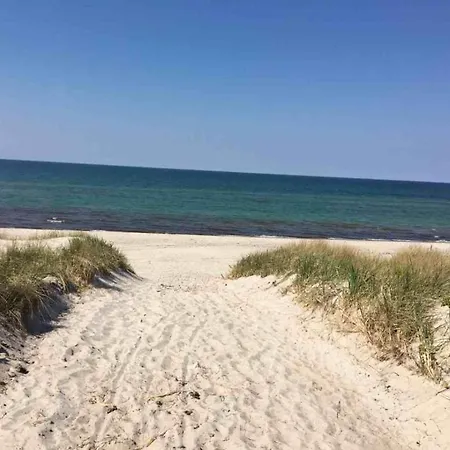 House Dune Forest B