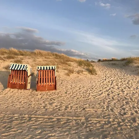 Apartment House Dune Forest B